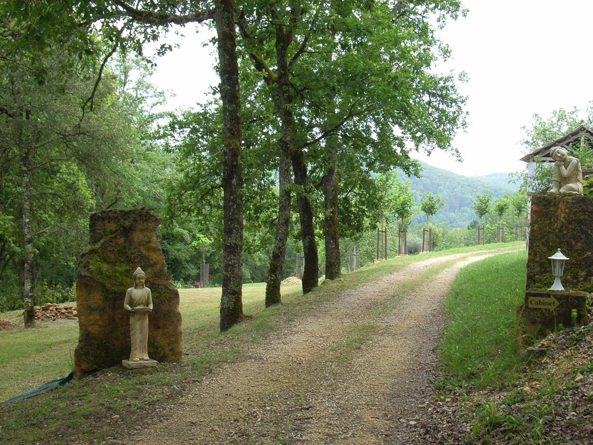 Studio Aux Eyzies Au Coeur De La Vallee De L'Homme Les Eyzies Bagian luar foto