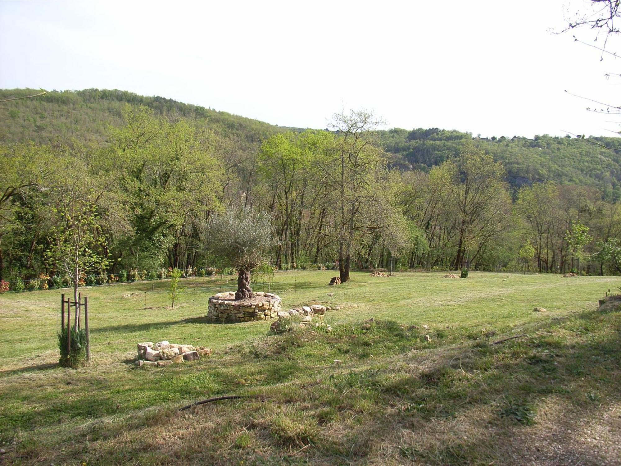 Studio Aux Eyzies Au Coeur De La Vallee De L'Homme Les Eyzies Bagian luar foto