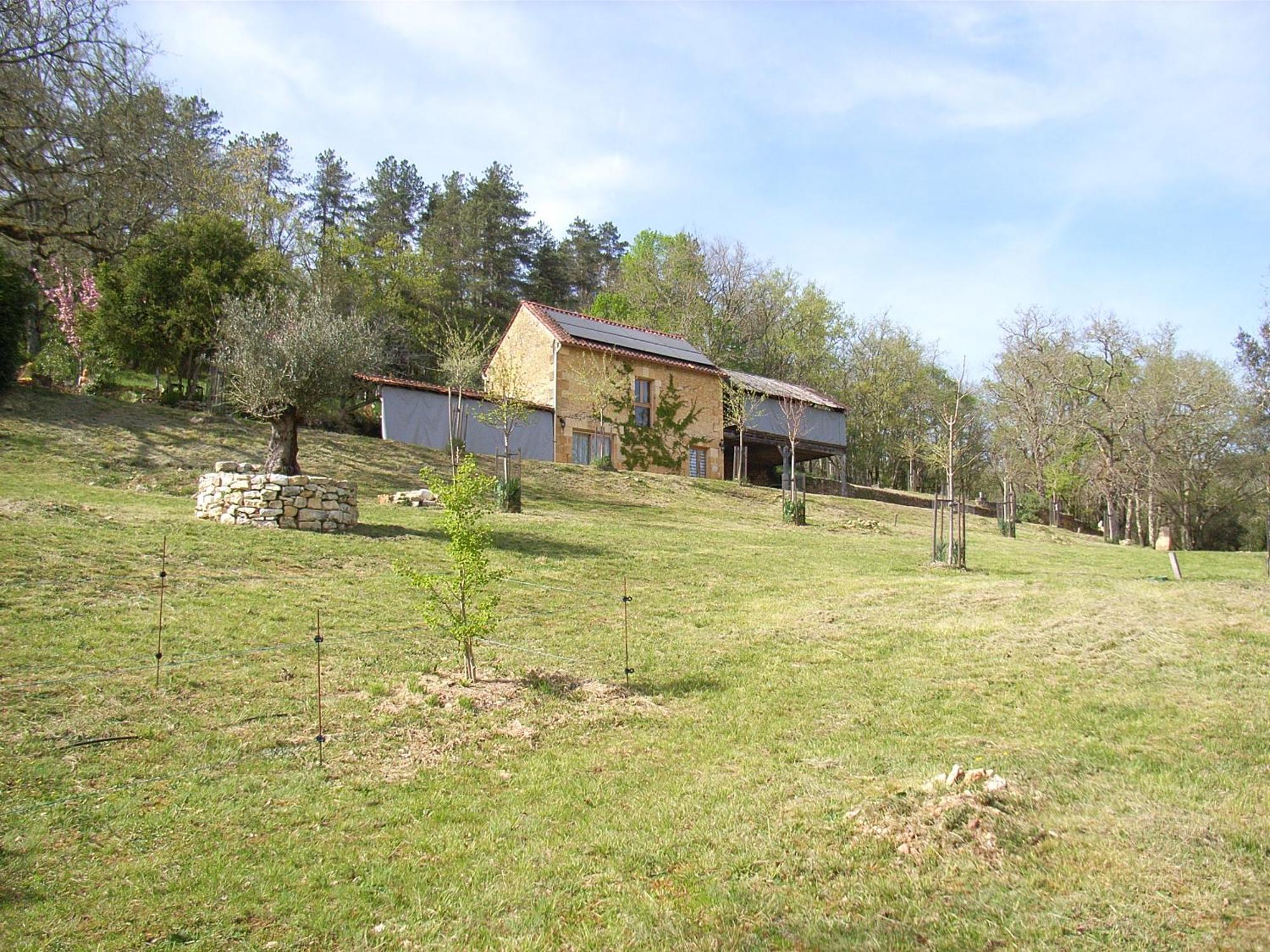 Studio Aux Eyzies Au Coeur De La Vallee De L'Homme Les Eyzies Bagian luar foto